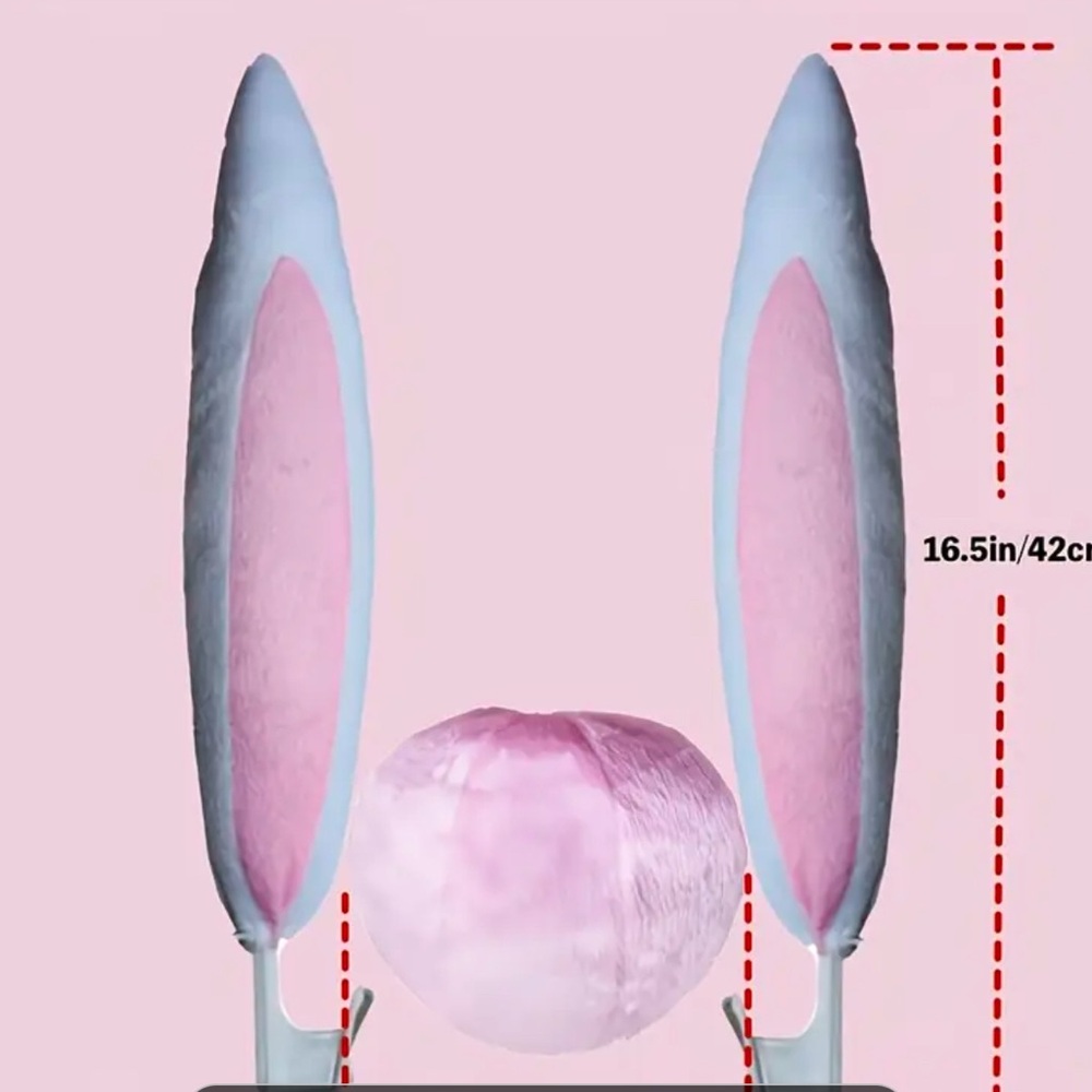 Car‎ Bunny Ears